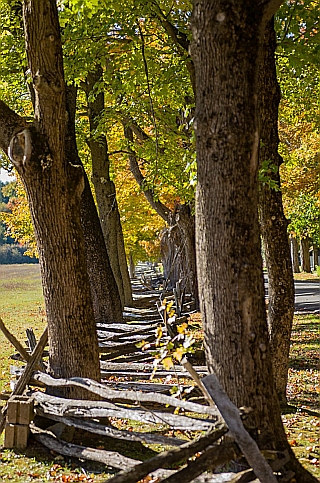 Roadside fence by Savage Frieze