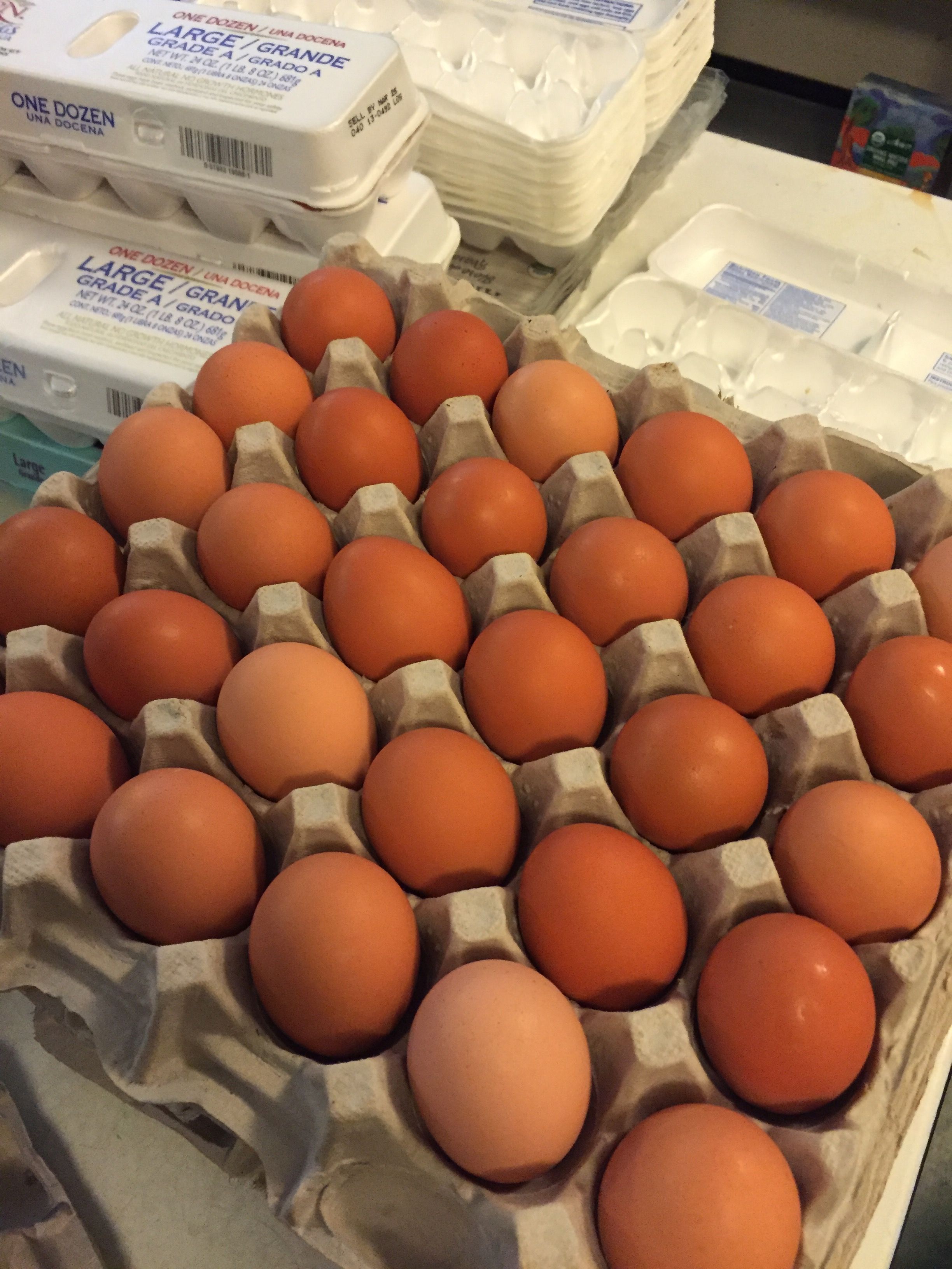 Egg flat north canaan congregational church